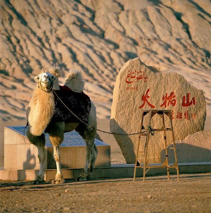 地理 | 千年吐鲁番：四大文明交汇地，有玄奘的最后一难，有不亚于敦煌的壁画，如今却被人遗忘 - 6