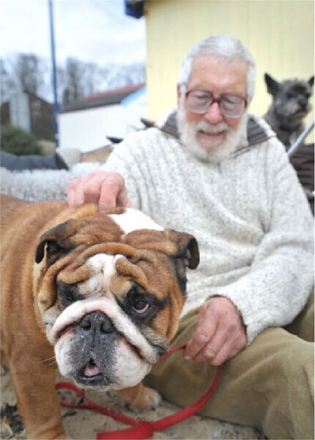 79岁的老爷爷，每天遛八九只狗，背后的原因太暖心了！ - 2