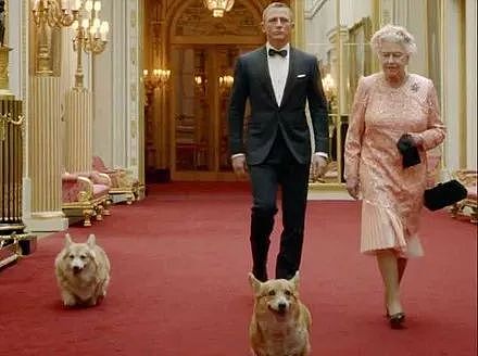 英国女王的最后一只柯基去世，她决定不再养狗..... - 5