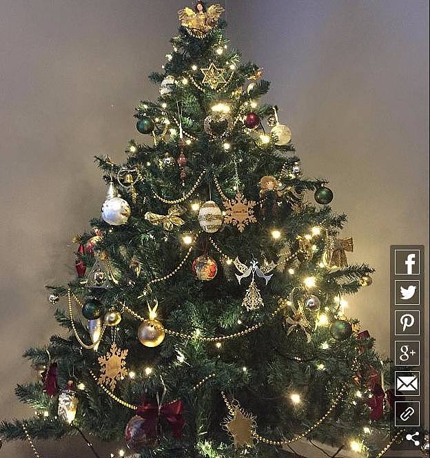你家的圣诞树亮起来了吗？看看澳洲哪里可以买到你最中意的圣诞树！ - 20