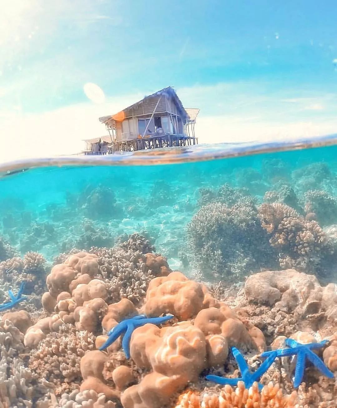 浪漫至极的神仙小岛，大海是天然游泳池！比巴厘岛安静，价格仅马代十分之一！ - 19