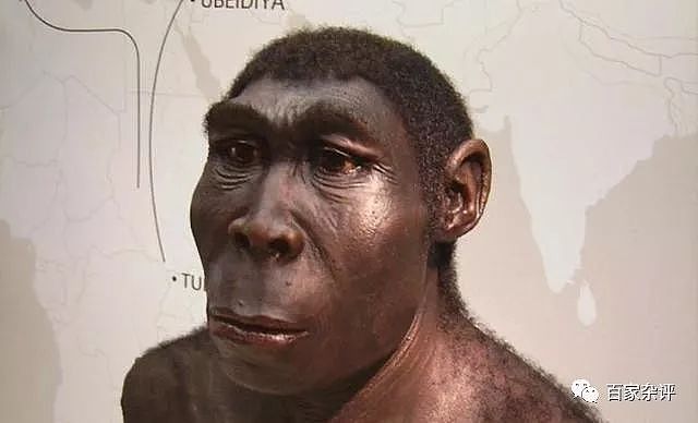 陕西发现3万年前牙齿，考古发现令人不解：中国人不起源于非洲？ - 2