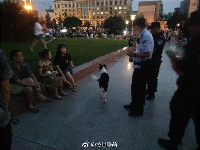 蒲江的警察蜀黍只用一招，就让养狗人“束手就擒”… - 15