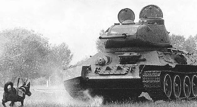 军事 | 二战时期的奇葩设计：苏联将炸药绑在军犬身上，德军则有驴式自行反坦克炮 - 6