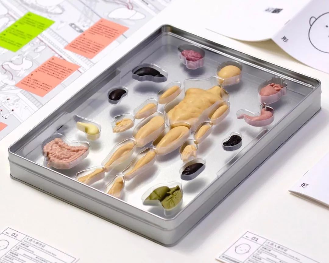 果壳人体解剖“博物馆”迎来新藏品！可以吃的那种～ - 1