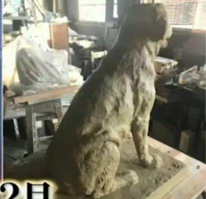 狗狗连续6年考警犬都失败了，为了纪念它粉丝建了一尊铜像…… - 17