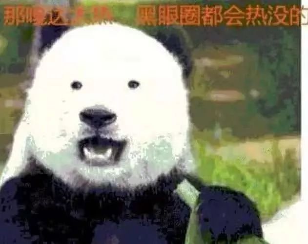 印度网友气急了：中国不租给我们大熊猫，我们就自己造一个！ - 2