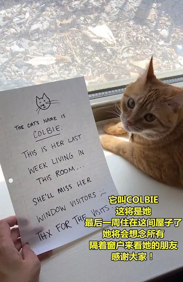 网友要搬家，但想到邻居们经常来看猫，于是写了张纸条告知，好暖！ - 3