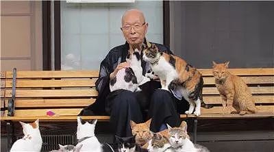 日本猫寺里住着30多只猫，竟比僧人还多，又想骗我去当和尚？ - 4