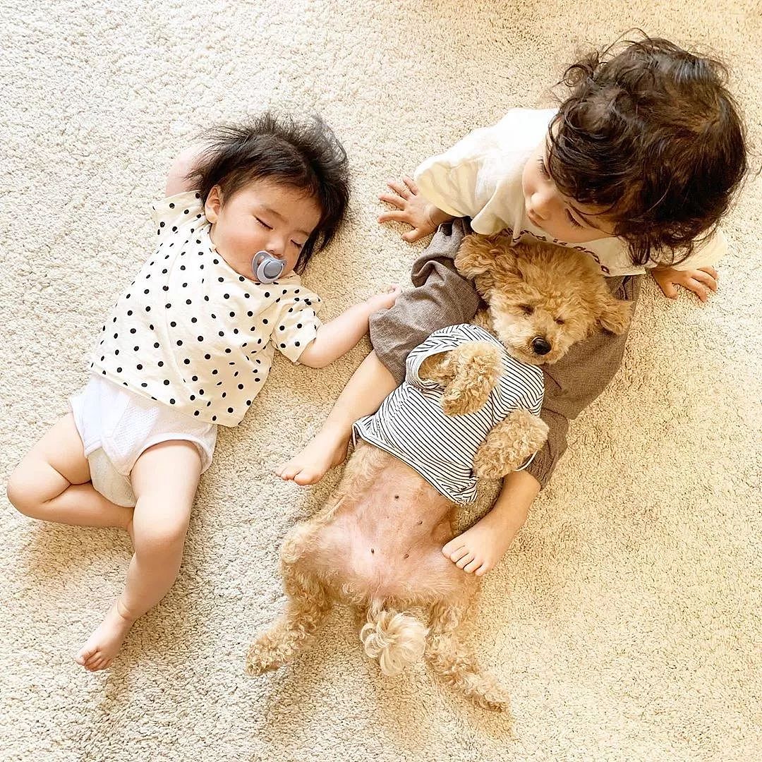 日本妈妈每天给狗狗和孩子拍照，这画风…也太可爱了吧！ - 32