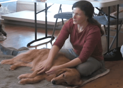 如果你摸了狗狗身体这8个部位，它会十分感激你！ - 7