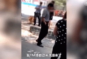 北京丰台查狗事件：主人摔伤了警察，我被送到了留检所…… - 3