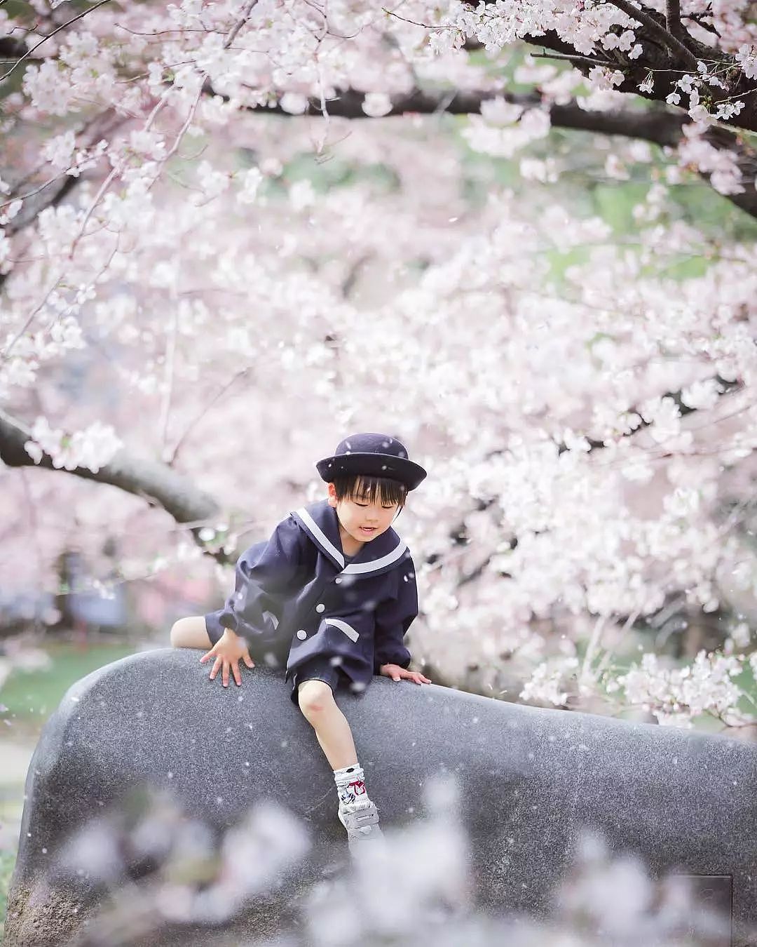 日本妈妈偷拍樱花树下的儿子，美成宫崎骏童话，治愈无数人 - 41
