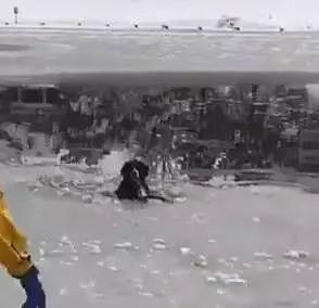 超暖！狗狗掉进冰湖无法动弹，消防员蜀黍冒险将它救起！ - 1