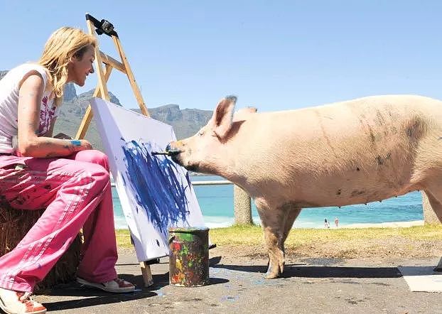一头待宰的猪画了幅画，竟卖了23万元，被称为猪界毕加索，还全世界办展览！ - 41