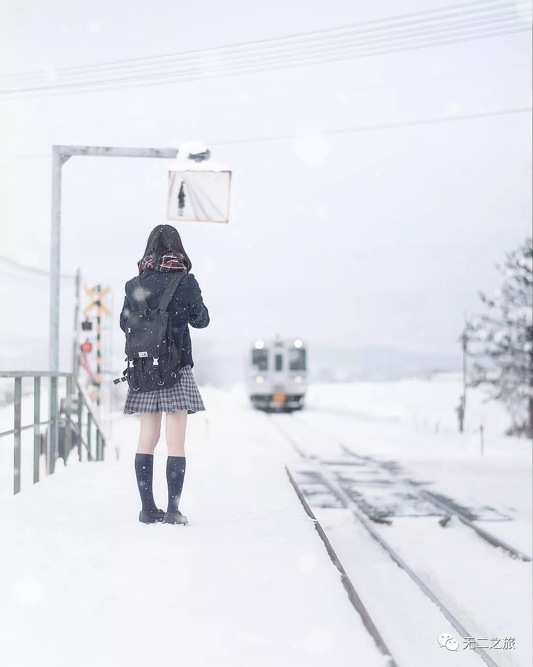 北海道线路 | 冬天，想和你去北海道，做一对白色恋人 - 1