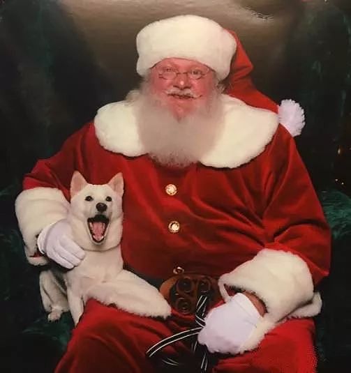 狗狗和最爱的圣诞老人合影，开心的笑脸萌化所有网友！ - 9