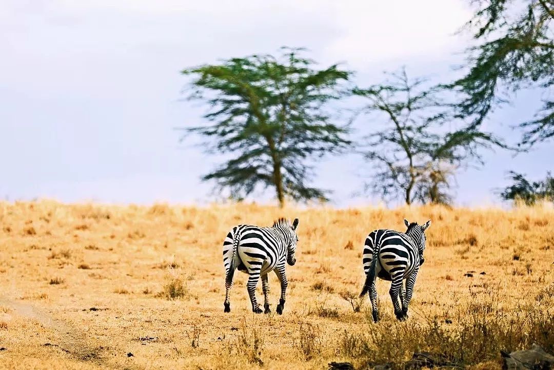 除了动物大迁徙，非洲还有一百种方法让你爱上它！ - 1