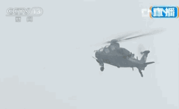 武直10直升机突发空中停车，飞行员冷静应对成功迫降｜视频 - 2