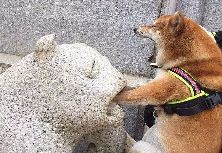 当一只色狗偶遇一座雕像狗：这狗我能上吗？ - 1
