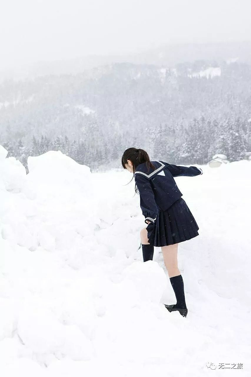 北海道的雪地里，藏着一帮大明星 - 44