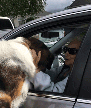 90多岁老奶奶不愿搬去儿子家，竟是因为领居家的狗太可爱了？！ - 13