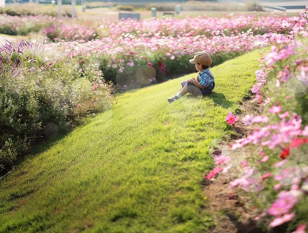 日本妈妈偷拍樱花树下的儿子，美成宫崎骏童话，治愈无数人 - 53