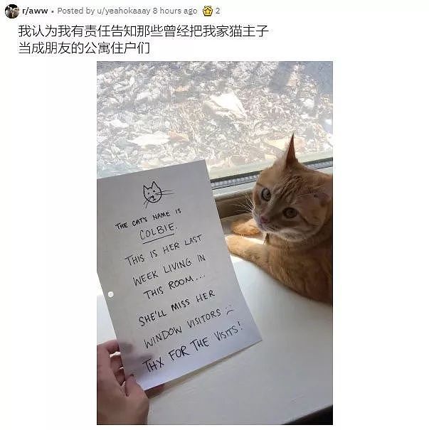 网友要搬家，但想到邻居们经常来看猫，于是写了张纸条告知，好暖！ - 1