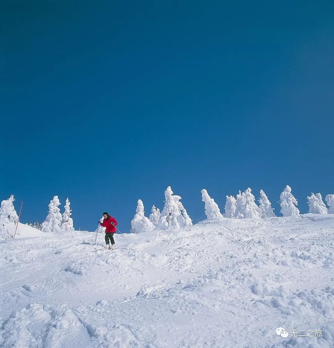 不输北海道，99%的人都不知道的小众赏雪秘境在这里...... - 8