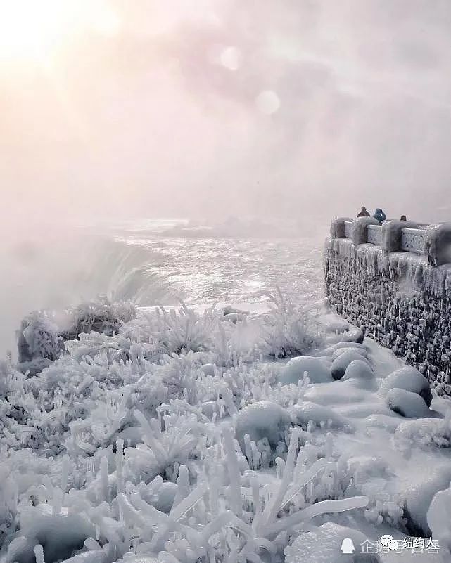 世界最大跨国瀑布冻住了 绝美奇观如仙境！ - 7