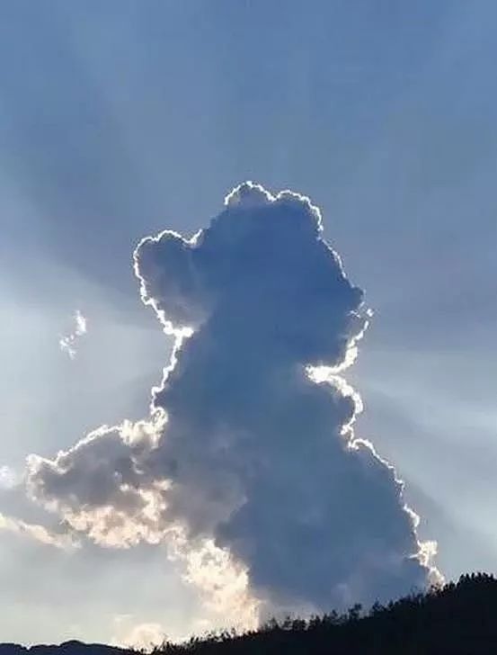 天上有朵云做的狗...这么可爱的狗狗云你们见过没？ - 5