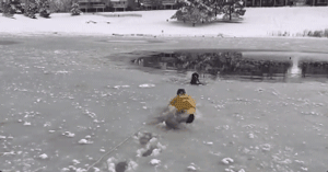 超暖！狗狗掉进冰湖无法动弹，消防员蜀黍冒险将它救起！ - 2