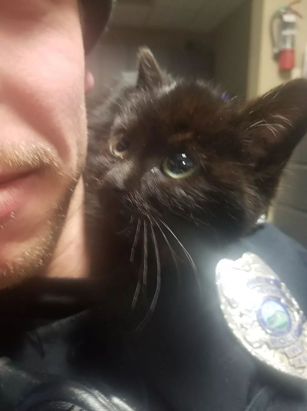 警察雪地救出小黑猫，准备给它找新家时，小猫却另有打算... - 3