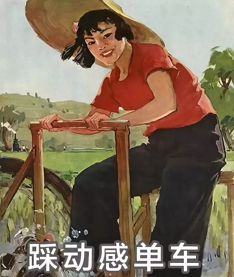 中国女子减肥图鉴，哈哈哈哈哈哈哈哈 - 23