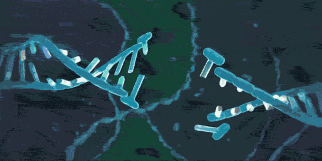 被疑致癌！当今最强力、最值钱的基因编辑技术CRISPR，究竟怎么了 - 9