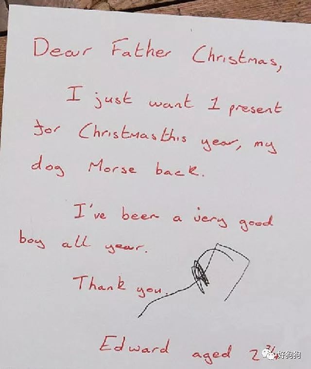 狗狗被偷走，小男孩给圣诞老人写了封信，最后奇迹发生了…… - 6