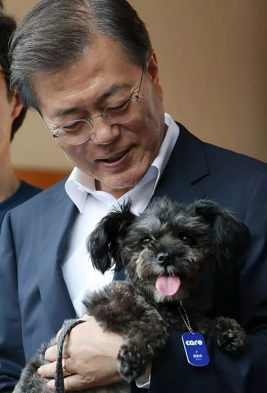 韩国最大狗肉市场要关闭了，超过80只狗狗从市场获救… - 9