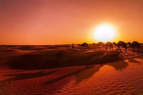 这个半海半沙漠的梦幻之地，比摩洛哥美10倍还免签，一生必去一次！ - 5