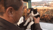 他多年前救下一流浪猫，多年后，猫不顾生命安危，救了他一命！ - 25