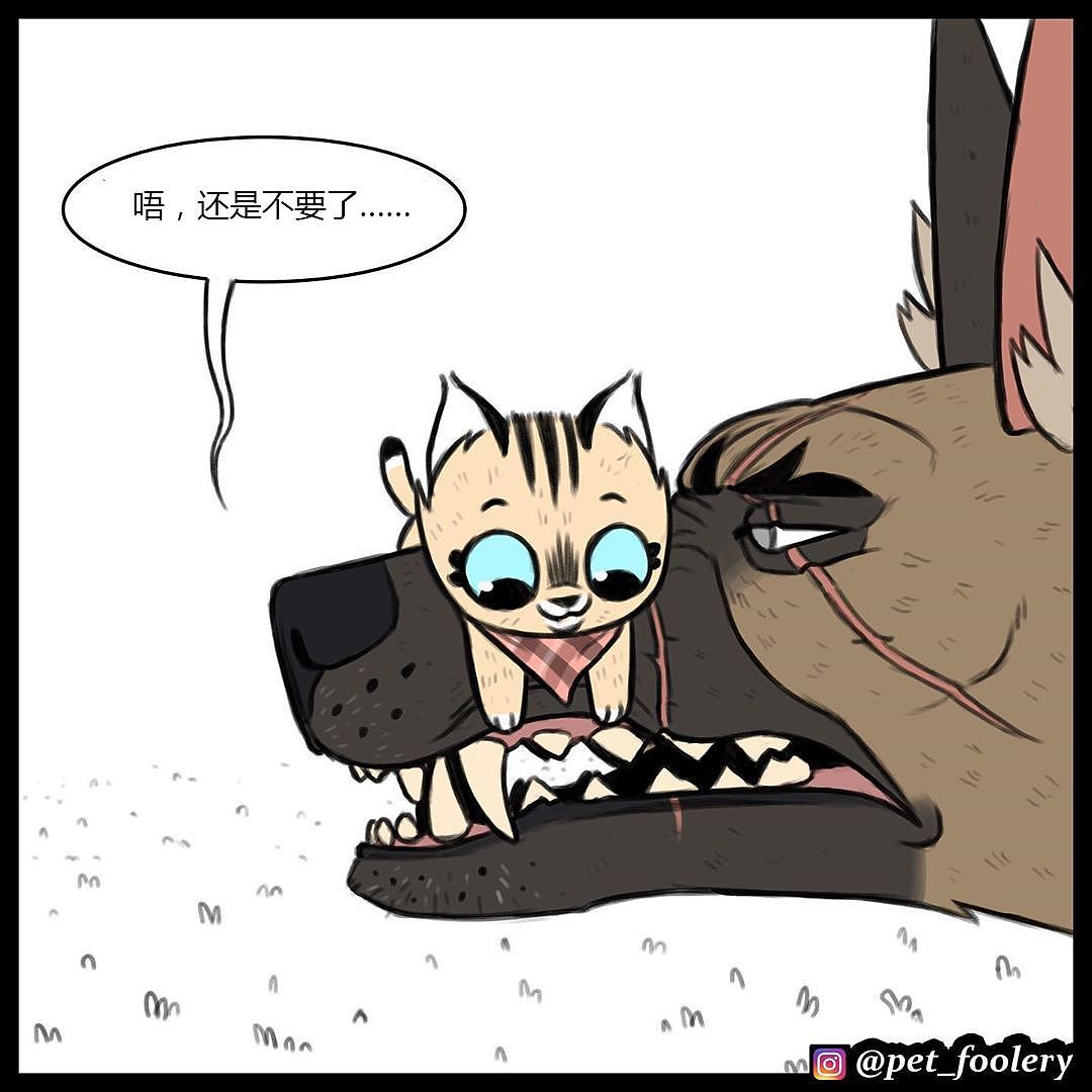 退役军犬和大眼萌猫的故事，续集来了！ - 25