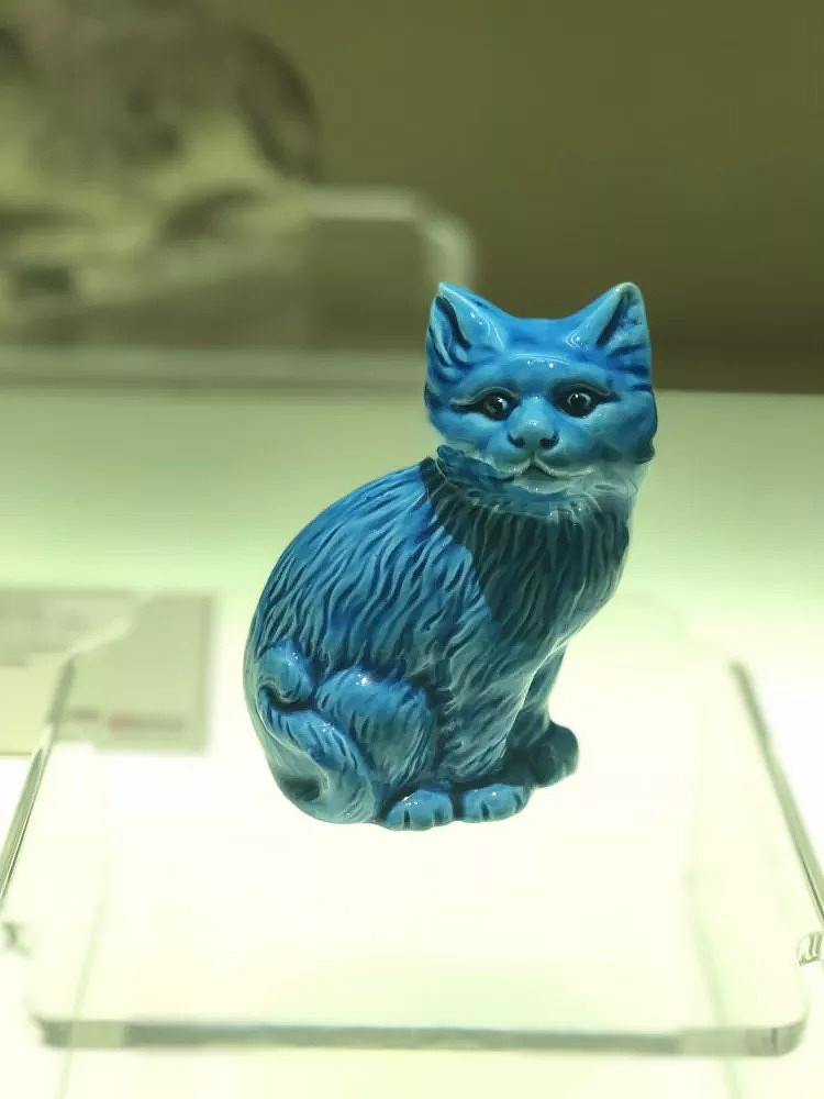 百代｜萌化了，史上最有文化的猫带你逛博物馆 - 7