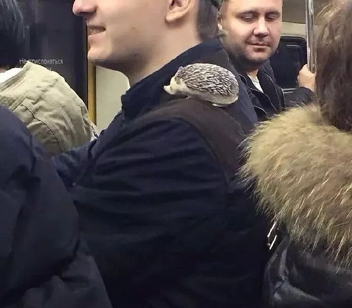 欢迎乘坐莫斯科地铁 - 5