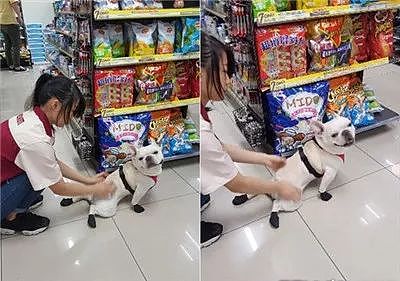 这狗为得到漂亮姐姐的抚摸，竟每天跑超市好几次 - 2