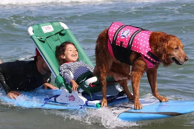 让狗狗带人冲浪，这个海滩的服务也太赞了吧！ - 8