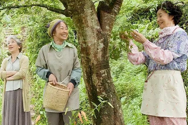 日本最变态小镇，一群65岁的老人只做了一件事，个个年入千万 - 44