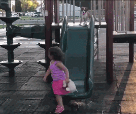 小女孩想教小狗宝玩滑梯，而狗宝竟然看懂了...沟通毫无障碍！ - 2