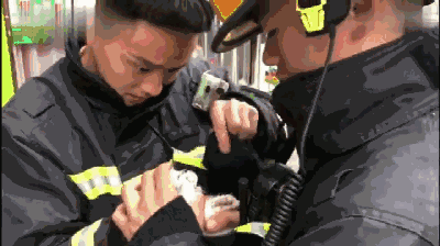 暖心：宠物店失火，消防员火场中救出20多只猫狗，蹲地做心肺复苏 - 6