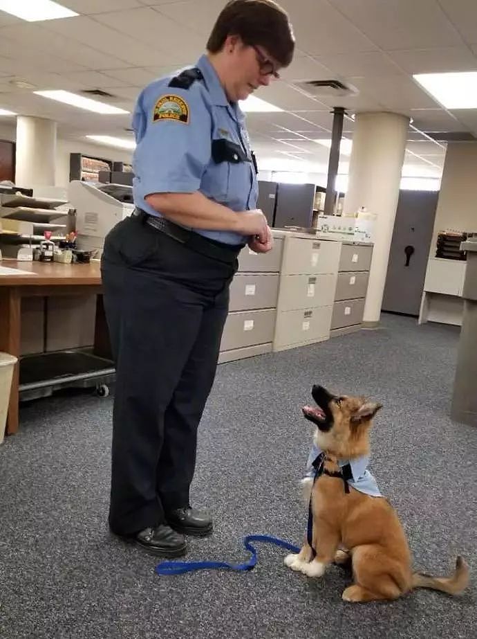 警局来了一位新员工，每天的工作内容是…被人亲亲抱抱举高高！ - 8