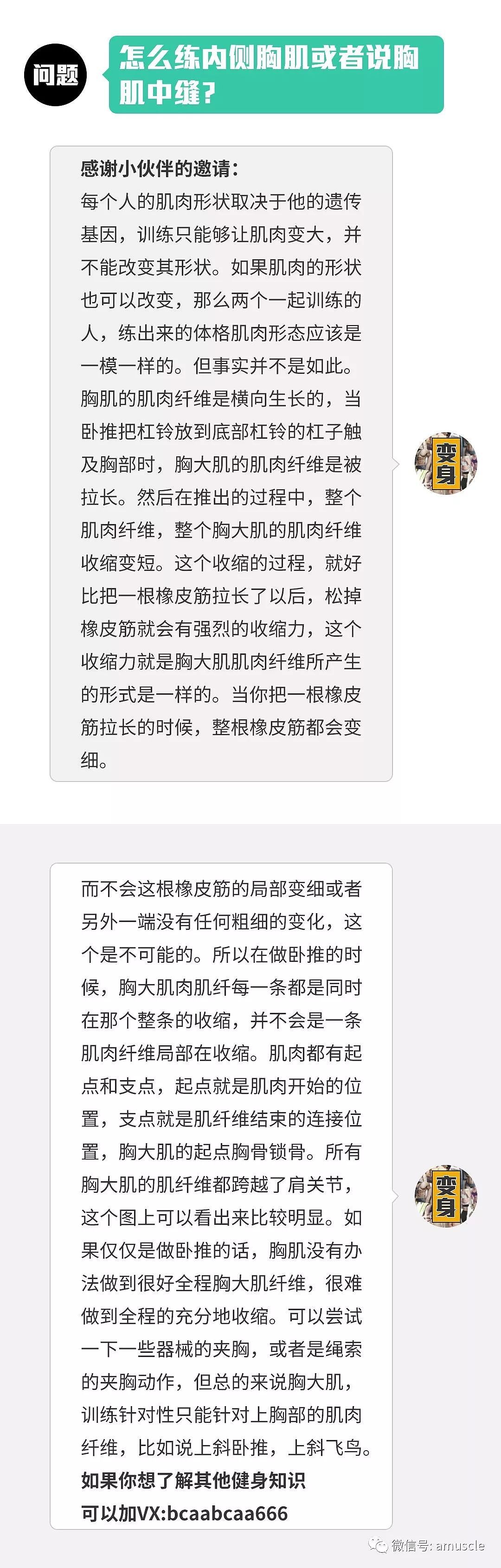 用什么方法才能加强胸肌中缝？ - 1