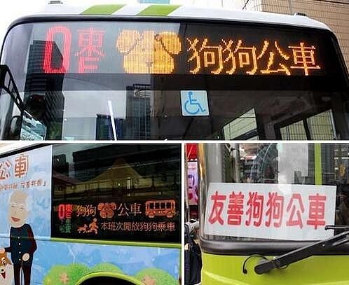 台湾狗狗公车运行两年颇受好评，真希望内地也有这样的福利！ - 2